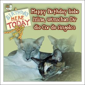 Vielen Dank, liebe Cor de Angelos!